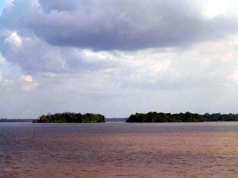 Amazonas Bildgalerie
