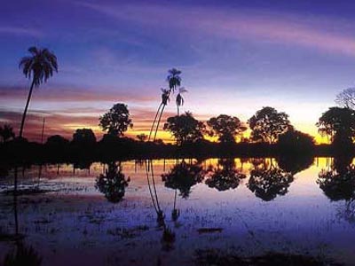 Der Pantanal