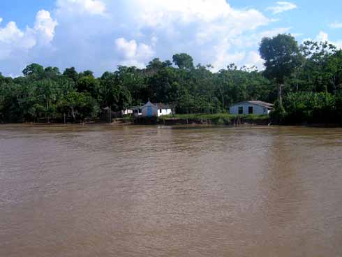 Amazonas Bildgalerie